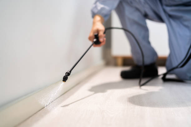 Bed Bug Pre-Treatment Preparation Assessment in Homer