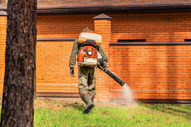 Bed Bug Clearance Verification and Documentation in Homer